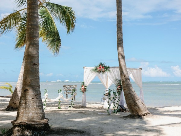 dekor z naturalnych kwiatów