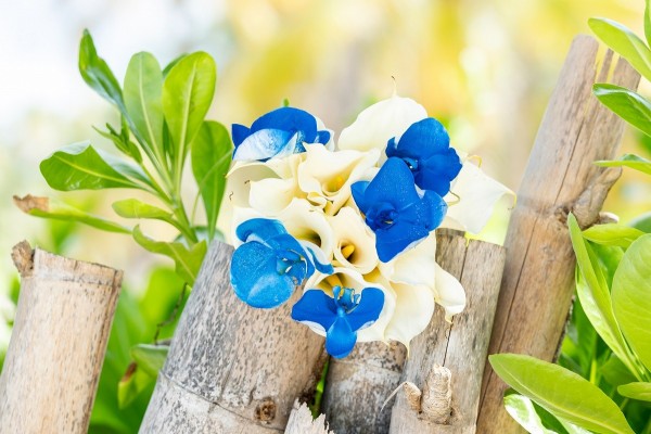 bukiet z kobaltowym akcentem