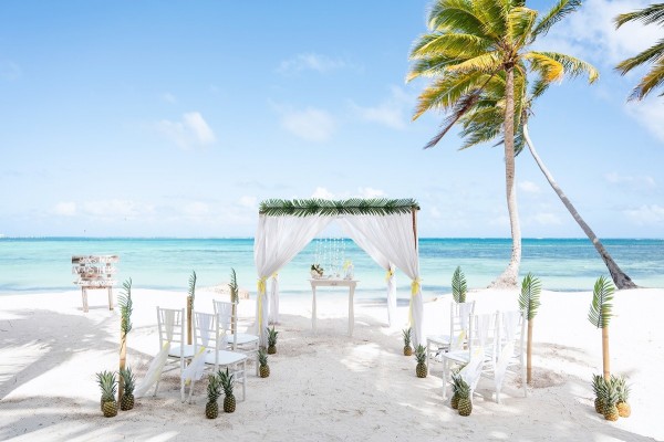 zielone akcenty z ananasem