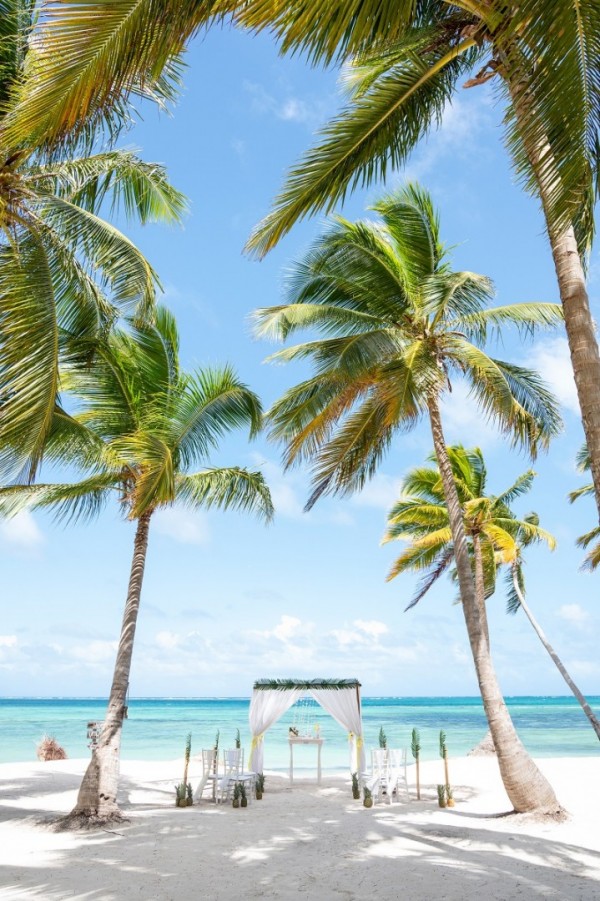 zielone akcenty z ananasem