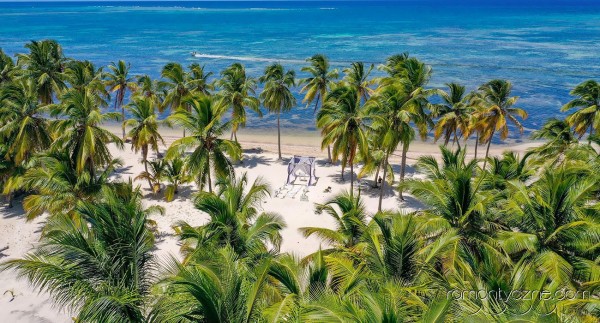 Dominikańska plaża, widok z drona