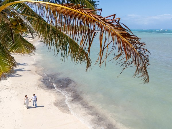 ślubne zdjęcia z drona