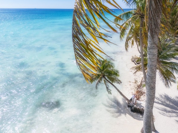 ślubne zdjęcia z drona