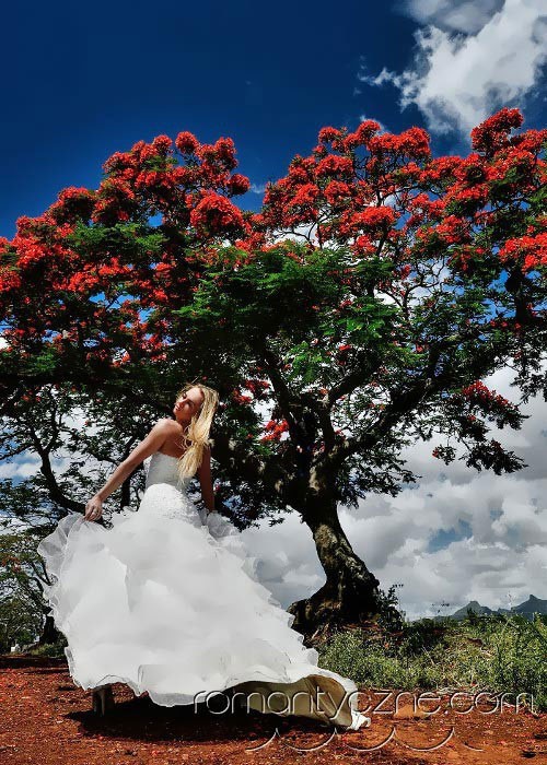 Śluby za granicą na tropikalnej plaży, Karaiby