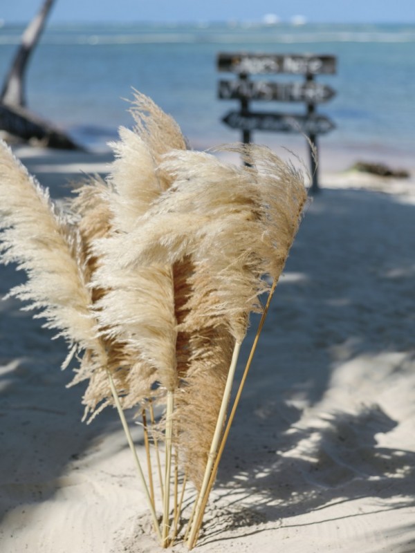 dodatek premium - styl boho