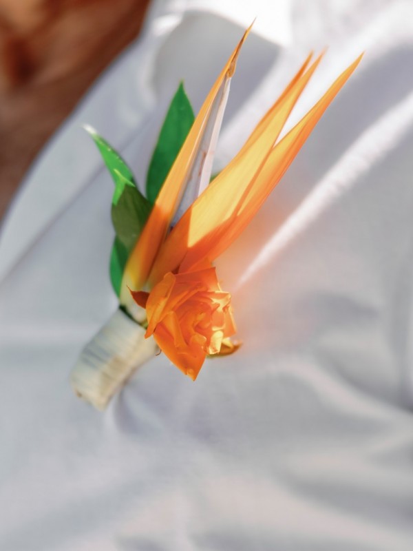 butonierka z rajskiego ptaka