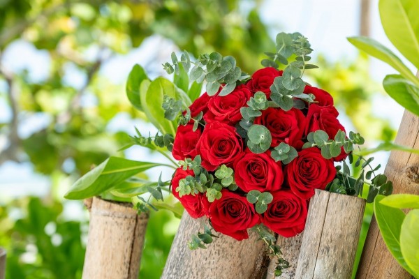 ślubny bukiet z czerownych róż